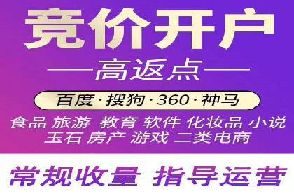 行业领先企业的SEM竞价代运营成功案例揭秘